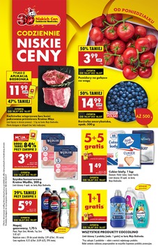 Biedronka (14.07.2025 — 20.07.2025)