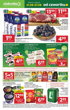 Stokrotka (21.08.2025 — 27.08.2025)