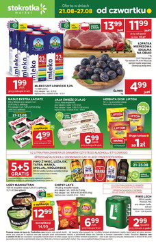 Stokrotka (21.08.2025 — 27.08.2025)