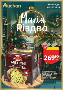 Ашан (19.11.2025 — 25.12.2025)