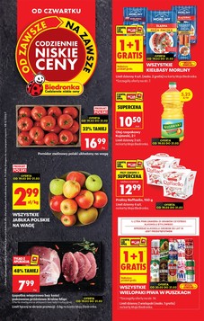 Biedronka (19.02.2026 — 25.02.2026)